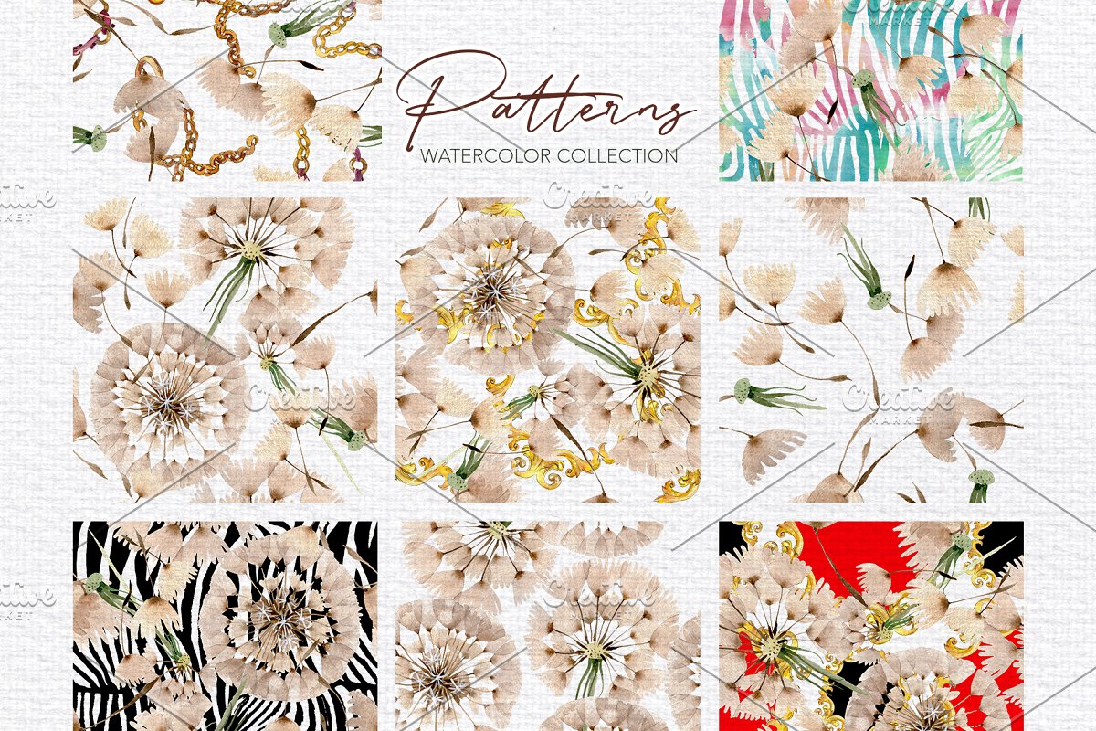 夏季手绘蒲公英水彩PNG画集 Summer Dandelion Collection插图2