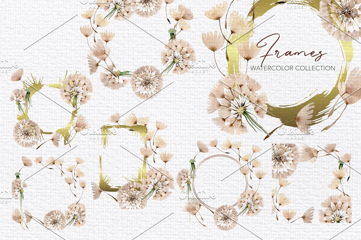 夏季手绘蒲公英水彩PNG画集 Summer Dandelion Collection插图4