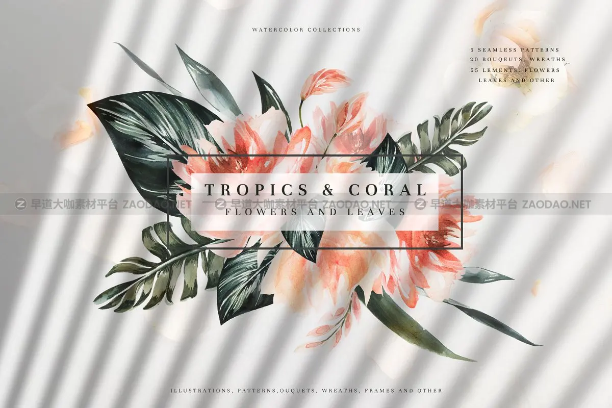 色彩鲜艳手绘热带植物竹叶牡丹香蕉棕榈水彩画集 Tropics & Coral Watercolor Set插图