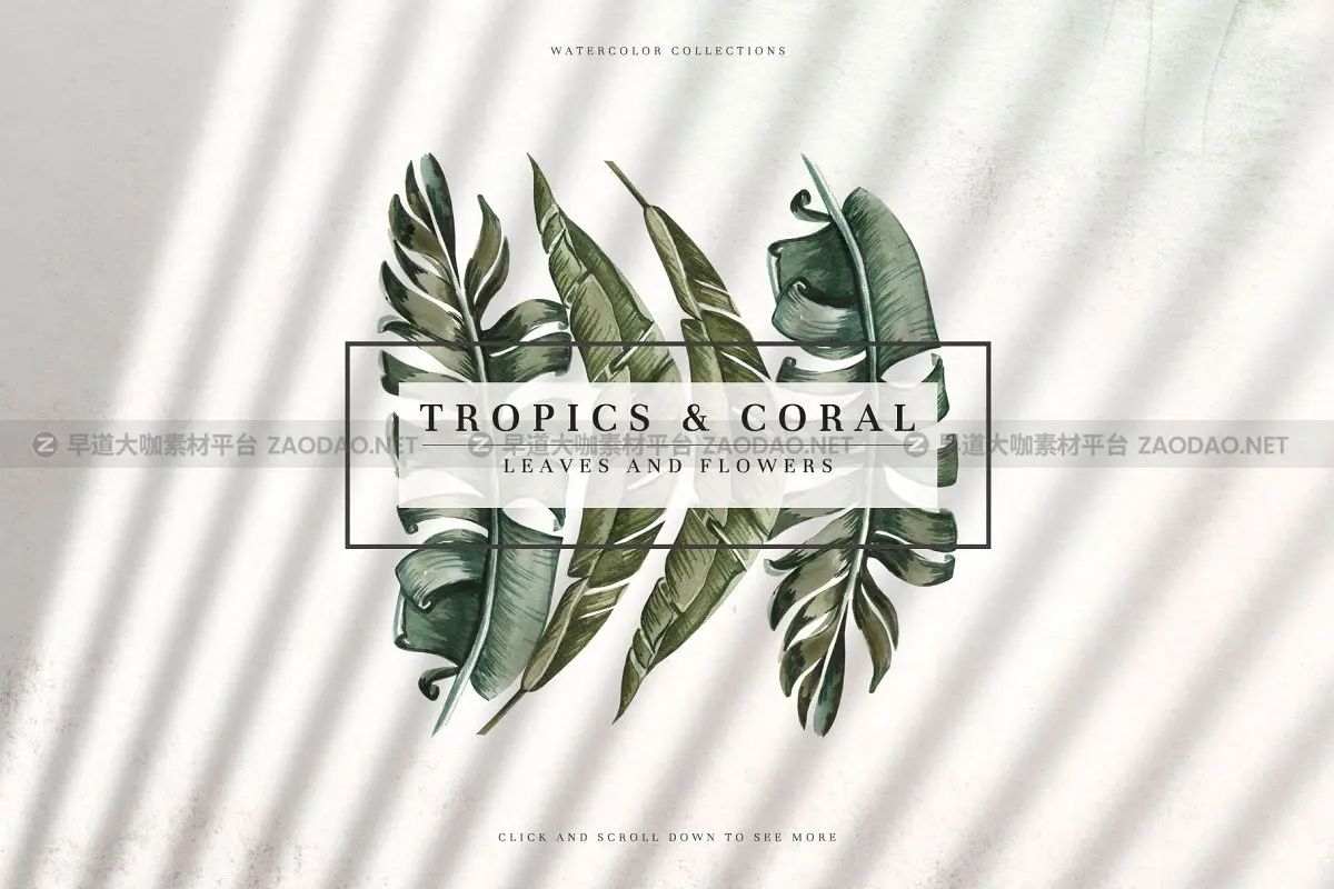 色彩鲜艳手绘热带植物竹叶牡丹香蕉棕榈水彩画集 Tropics & Coral Watercolor Set插图5