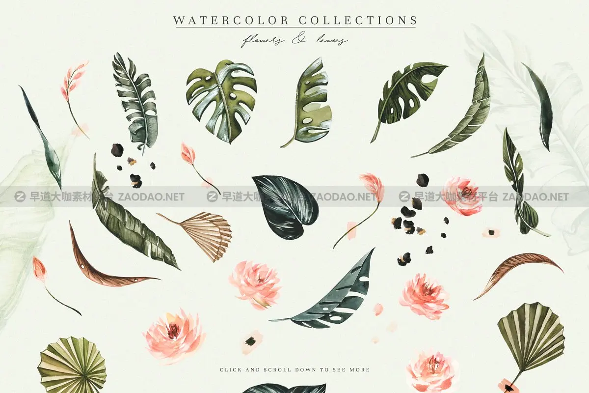 色彩鲜艳手绘热带植物竹叶牡丹香蕉棕榈水彩画集 Tropics & Coral Watercolor Set插图3