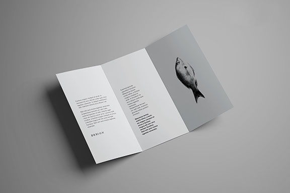 简约三折页画册宣传册展示样机 Advanced Trifold Brochure Mockup – 7 Angles