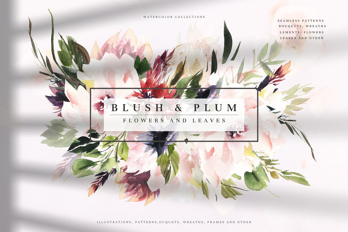 可爱的新鲜嫩牡丹&明亮的梅花水彩插画 Watercolor Blush & Plum插图