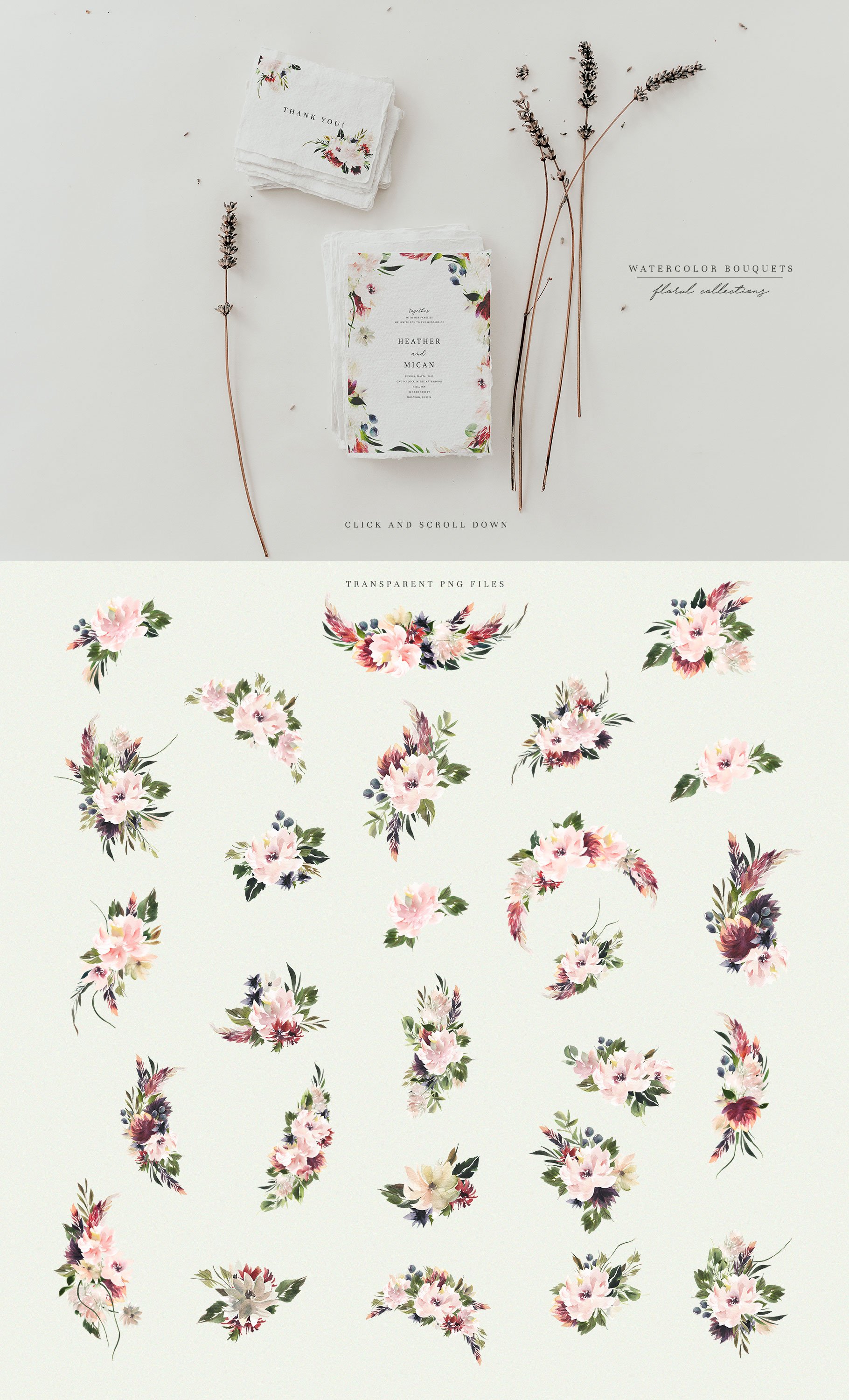 可爱的新鲜嫩牡丹&明亮的梅花水彩插画 Watercolor Blush & Plum插图1