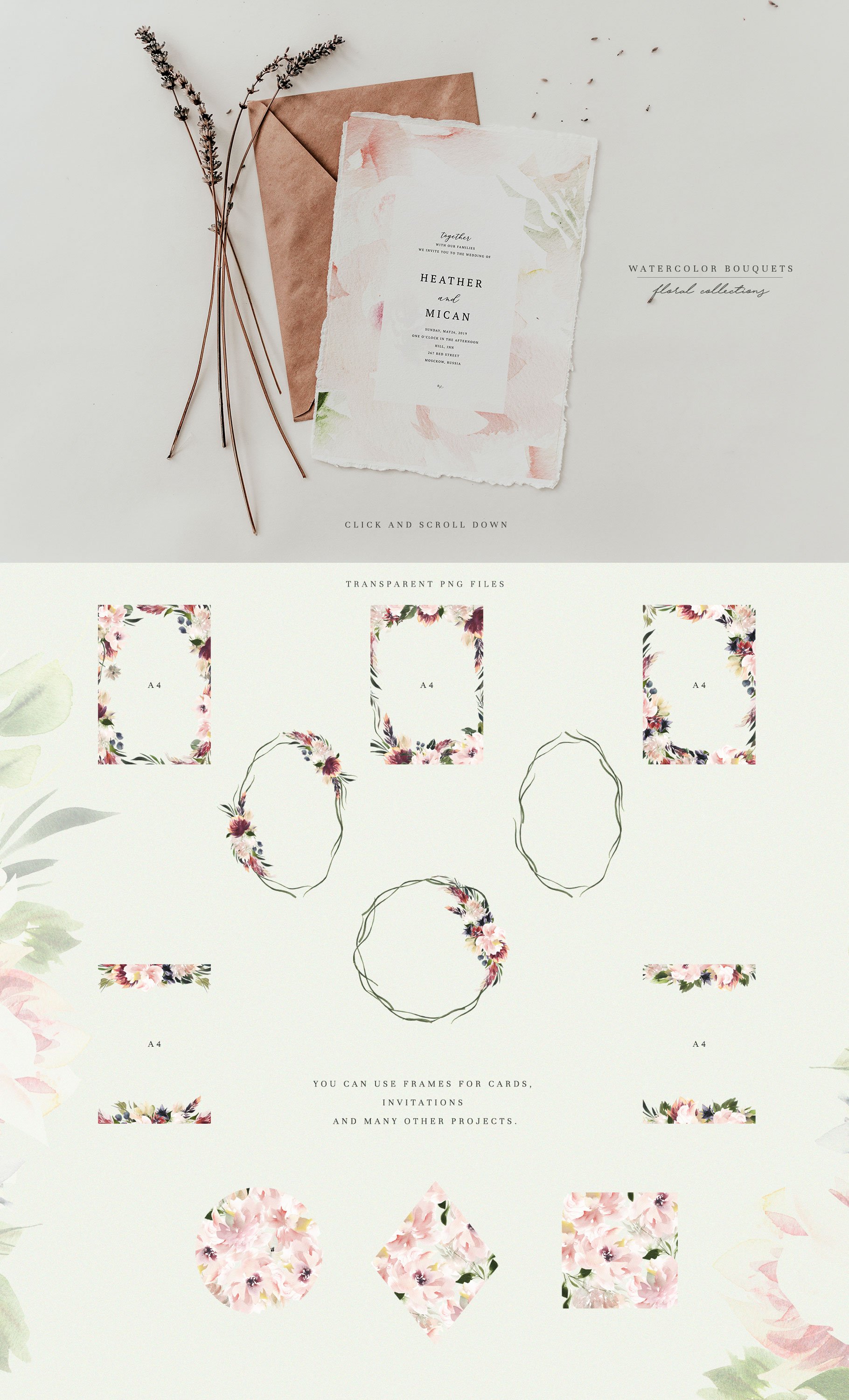 可爱的新鲜嫩牡丹&明亮的梅花水彩插画 Watercolor Blush & Plum插图2