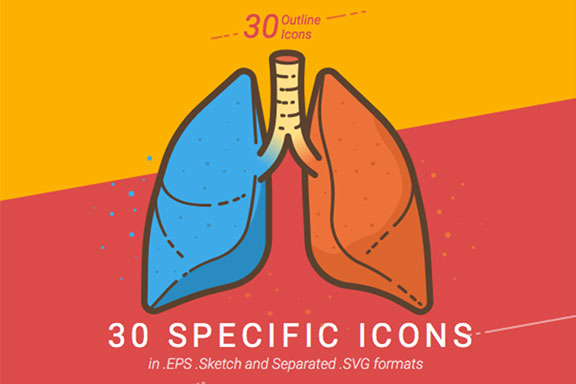 30个人体解剖学汽车零件饮料图标合集 30 Specific Icons