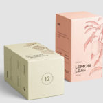 高质量方形化妆品香水包装盒设计预览图样机模板 Box Mockup Vol.3