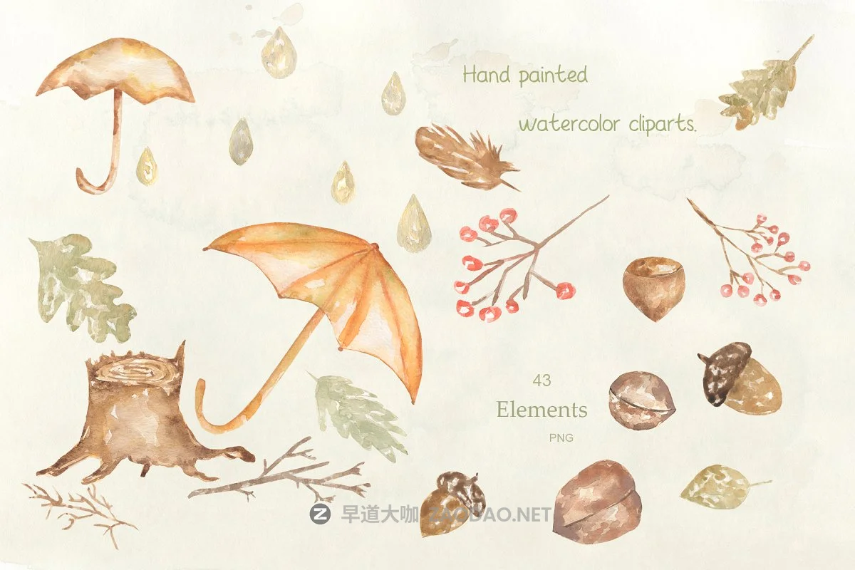 奇妙可爱手绘水彩森林动物植物花卉剪贴画集 Forest Story插图2 奇妙可爱手绘水彩森林动物植物花卉剪贴画集 Forest Story插图2