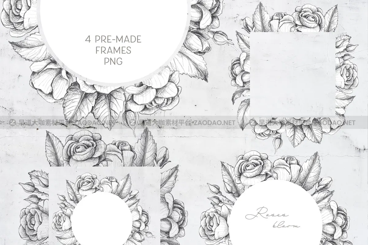手绘素描效果玫瑰花剪贴画集合 Sketched Roses, Patterns, Frames插图1