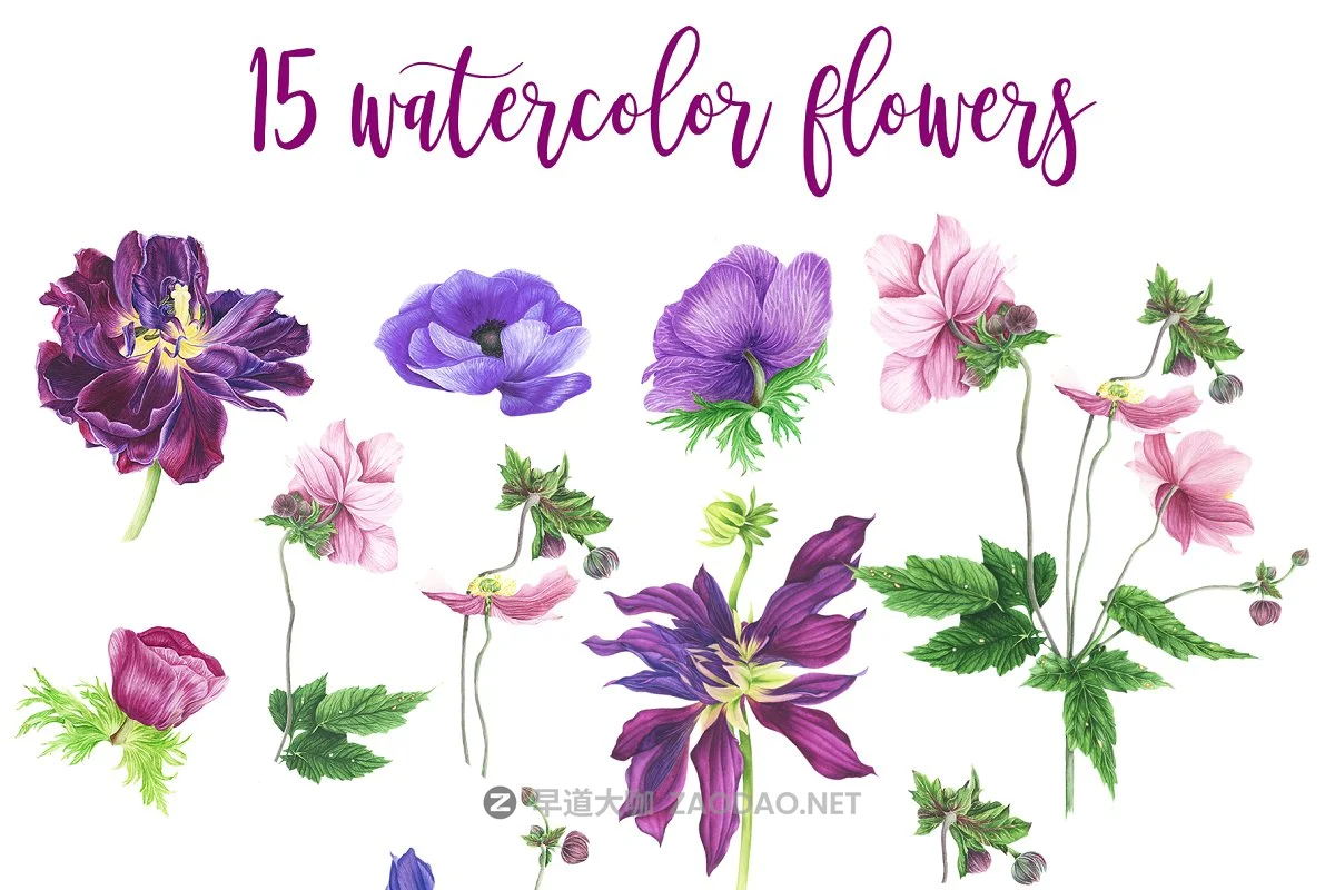 紫色手绘花束水彩剪贴画集&卡片设计模板 Purple Bouquet Watercolor Clipart插图4 紫色手绘花束水彩剪贴画集&卡片设计模板 Purple Bouquet Watercolor Clipart插图4