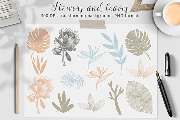 高质量手绘植物形状纹理插图集合 Hand Drawn Textures Collection