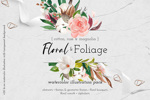 淡雅花卉&树叶水彩插画设计素材包 Floral & Foliage Illustration Pack