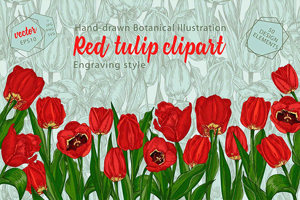 红色郁金香手绘矢量剪贴画合集 Red Tulips Vector Clipart