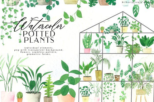 室内盆栽植物几何图形元素水彩插画 Watercolor Cozy Potted Plants