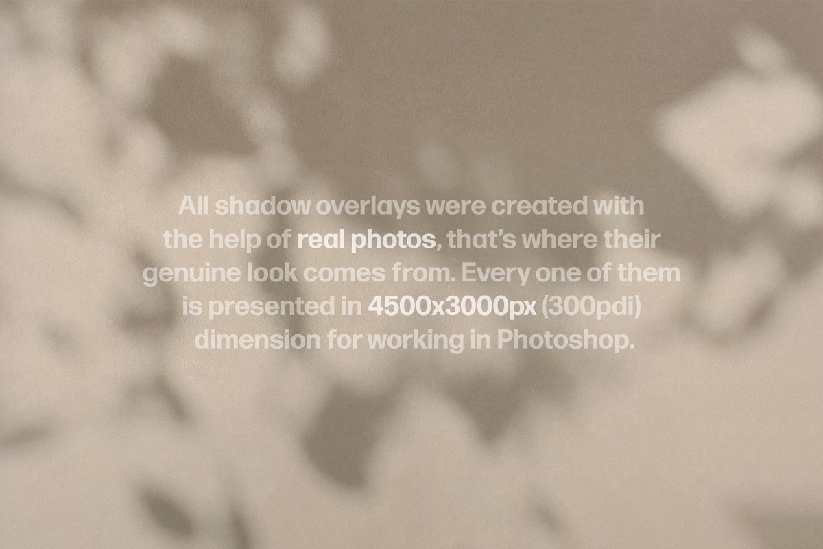 16张照片展示阴影叠加设计素材包 Shadow Play Photo Overlays插图4