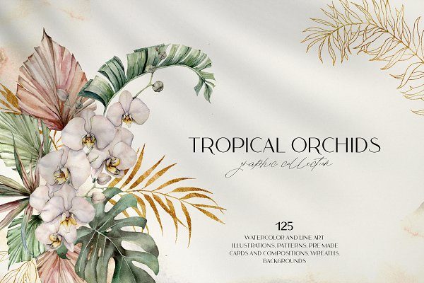 热带兰花花卉手绘水彩插画素材 Tropical Orchids Watercolor