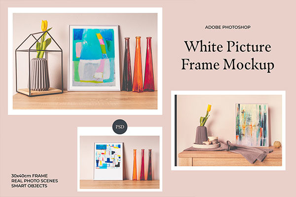 室内绘画艺术品相片海报展示相框样机 White Picture Frame Mockup