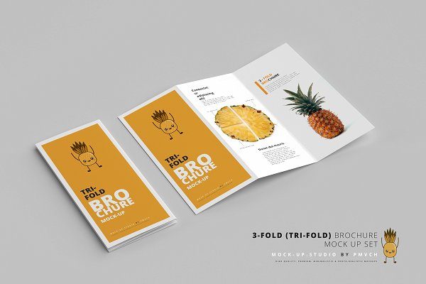 逼真三折页小册子设计样机模板 3-Fold (Tri-Fold) Brochure Mockups