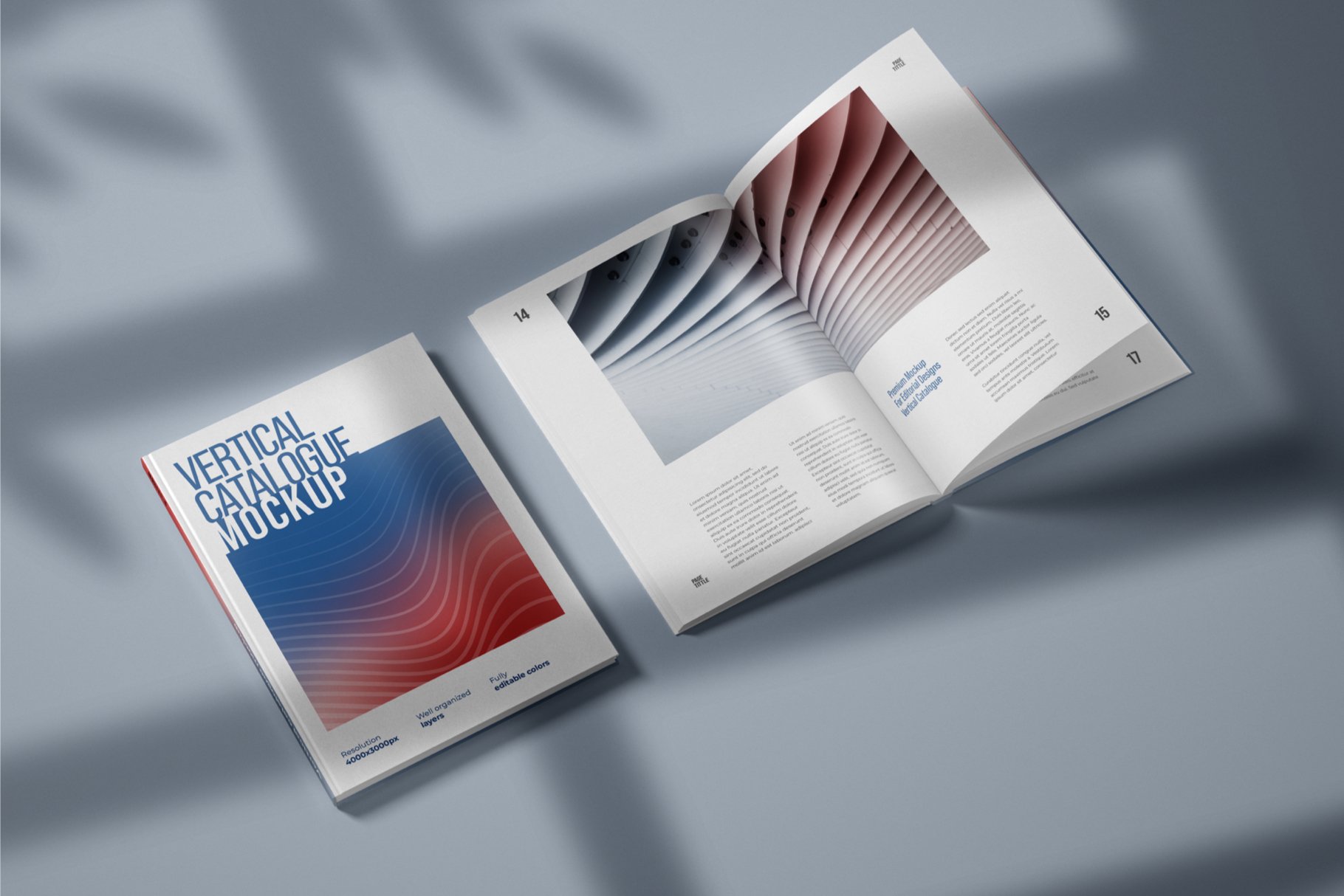 10款精装书画册设计样机模板 Vertical Catalogue, Magazine Mockup插图4