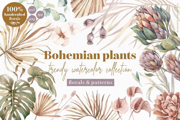 波西米亚风手绘植物水彩剪贴画纹理素材 Bohemian Plants – Trendy Watercolors