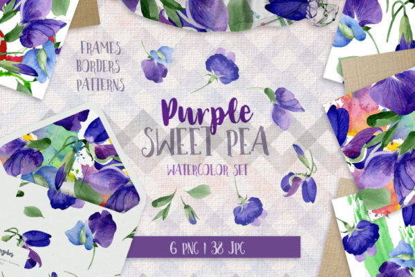 44个手绘紫色豌豆花卉水彩画素材 Purple Sweet Pea PNG Watercolor Flower Set