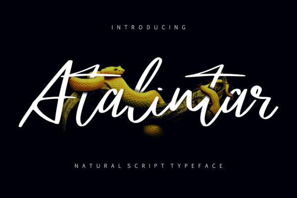 优美手写书法风签名英文字体 Atalintar | Natural Script Typeface