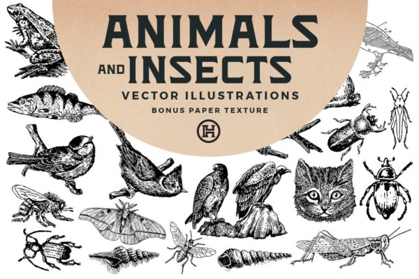 49个复古版画动物昆虫手绘矢量插图 Animals And Insects Vectors