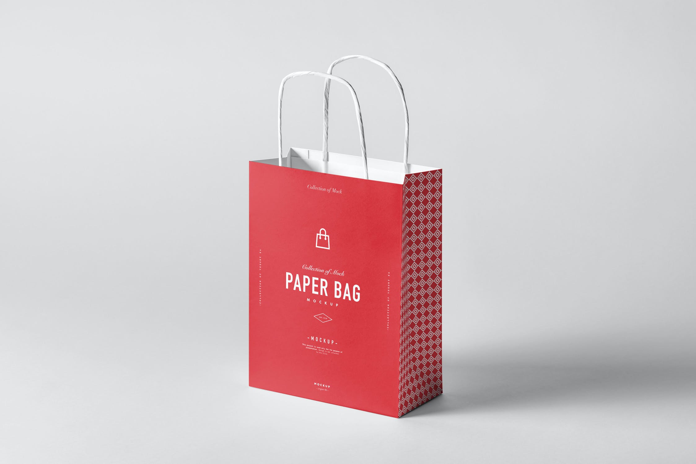 8款商城购物纸质手提袋样机模板 paper bag mockup