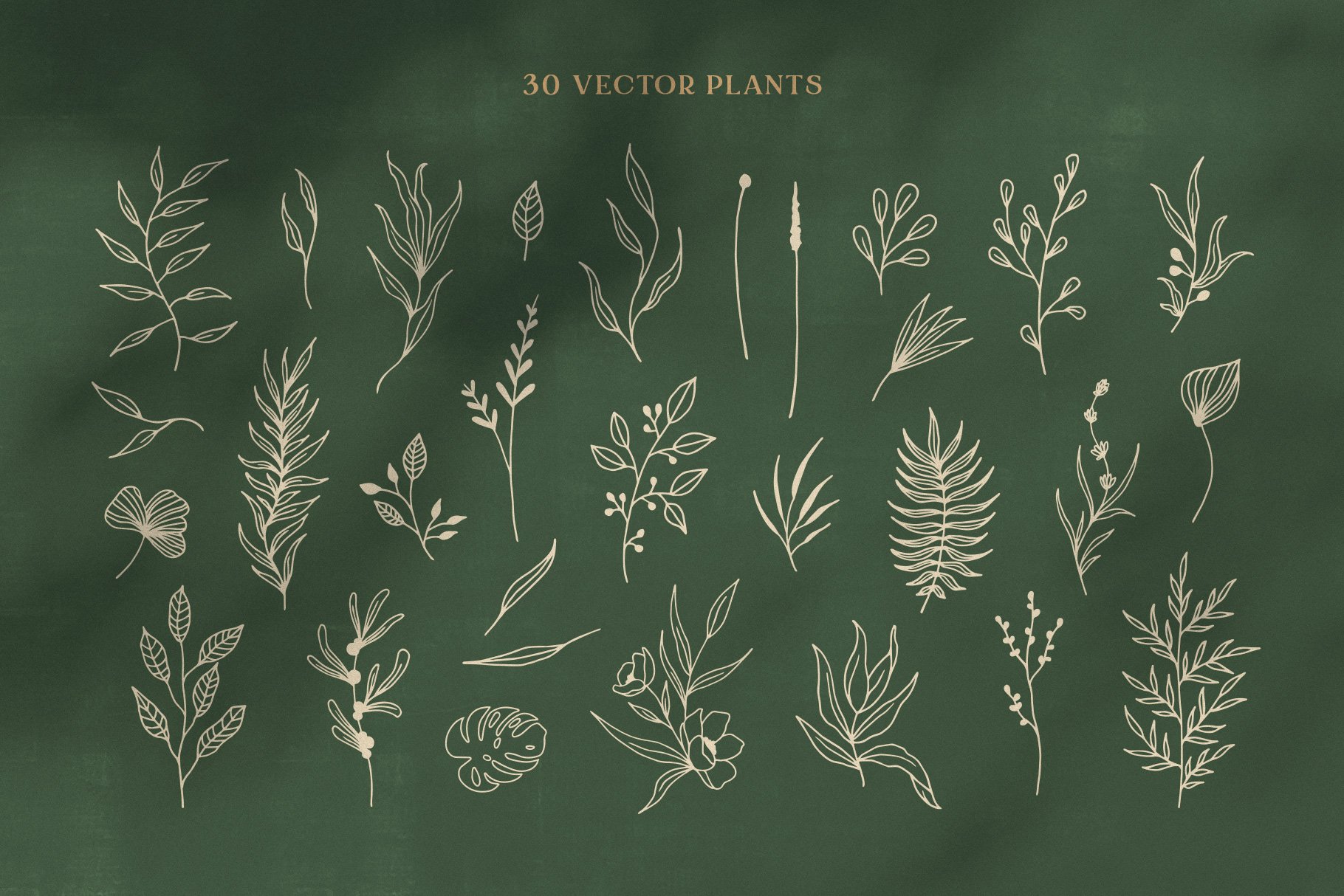 130种抽象线条形状植物矢量图案landoabstractgraphiccollection