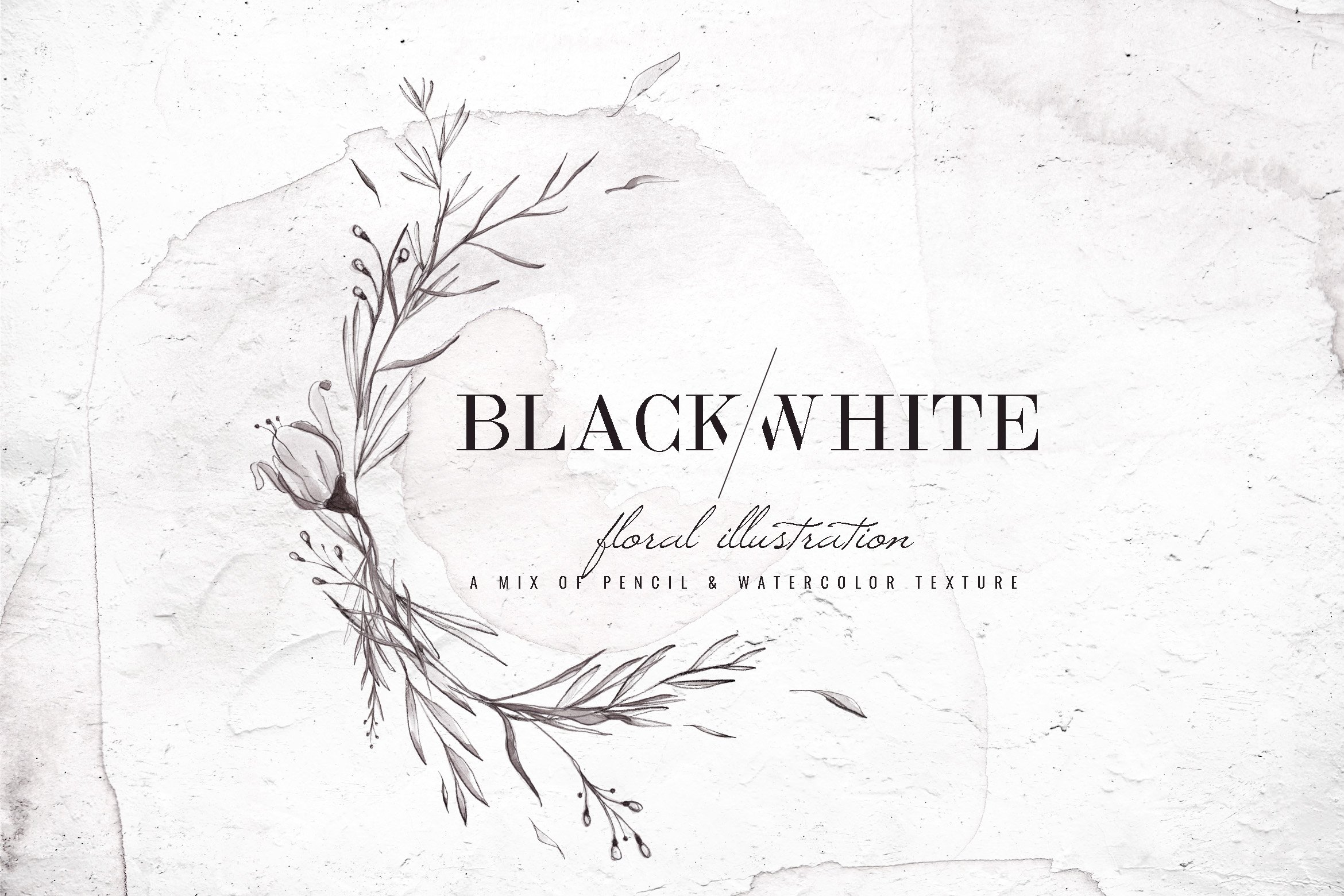 黑白手绘树叶花卉水彩画素材 black white watercolor floral