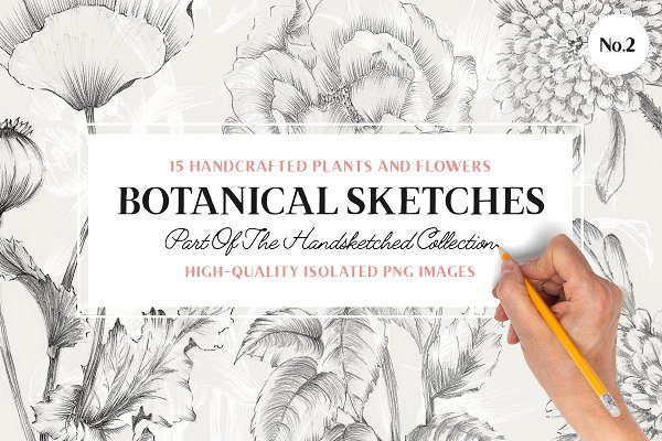 15张复古艺术手绘植物花卉插图素材 15 Handcrafted Flower Illustrations