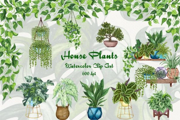 室内盆栽植物无缝隙水彩插画图案 House Plants Watercolor Clip Art
