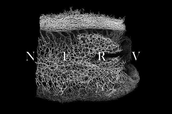 30款高清有机海绵纤维切片纹理背景底纹图片素材 30 NERV Textures vol.1