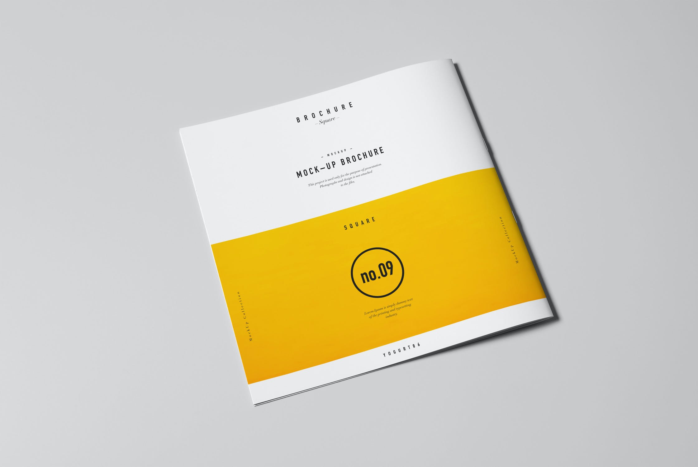 8־չʾģ square broch mockup