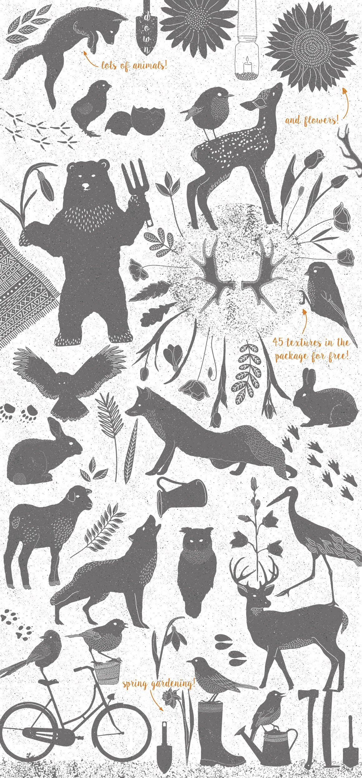 147款春天主题动物植物纹理矢量素材 Spring Collection插图2