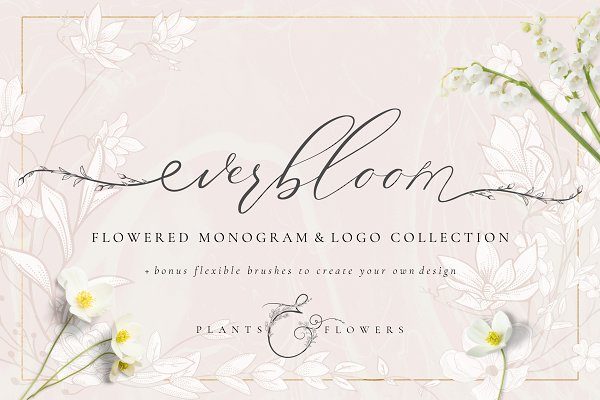 精美手绘花框花环徽标矢量图案素材 Flowered Monogram & Logo Collection
