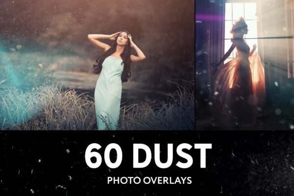 64款高清浮尘照片叠加层背景图片素材 64 Floating Dust Photo Overlays