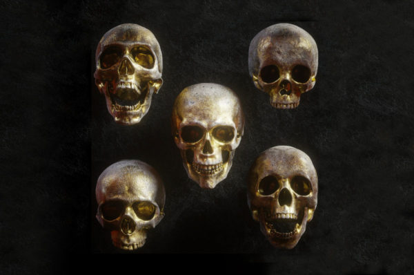 炫酷3D渲染人类头骨骷髅FBX模型素材 3D Skull Models Predators Pack