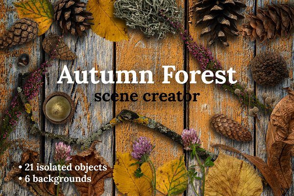秋季森林元素场景背景图片素材 Autumn Forest Scene Creator