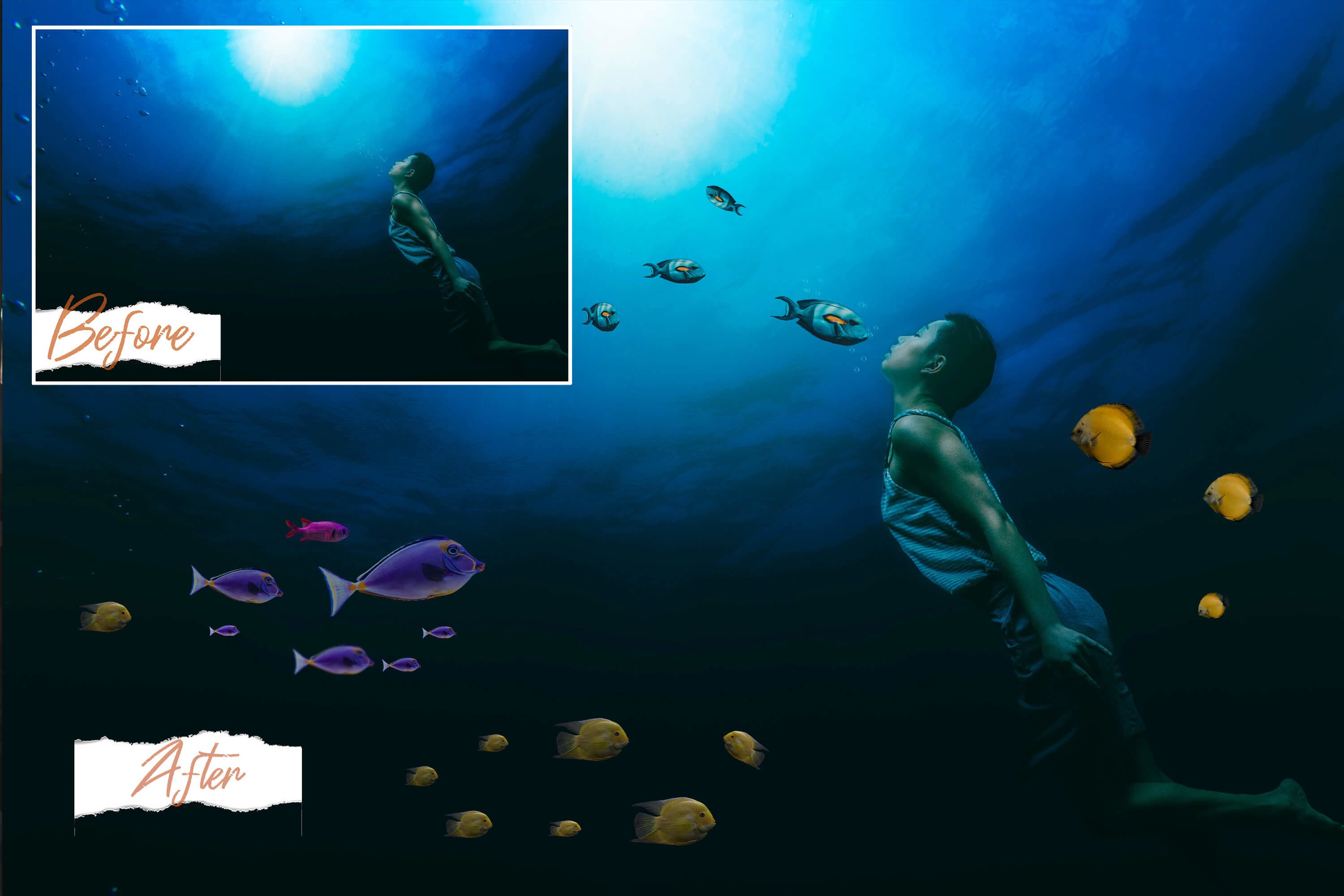 40款高清海洋鱼ps叠加图片素材40seafishoverlays