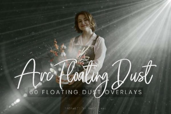 60款灰尘辉光PS叠加层背景PNG免抠图片素材 60 Floating Dust Flare Overlays