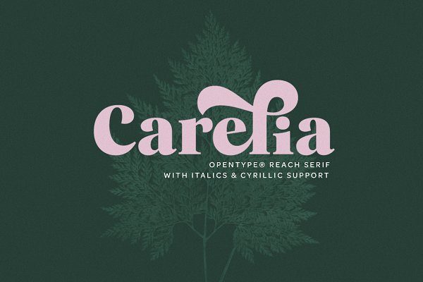 柔性曲线衬线英文字体下载 Carelia Font Family
