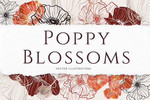 精美优雅艺术装饰花卉图案插画PNG透明图片设计素材 Poppy Blossoms Vector Illustrations