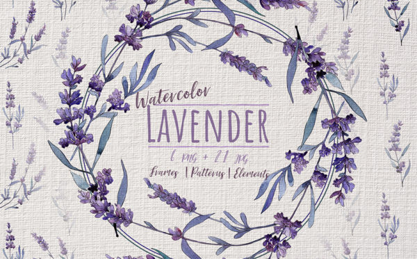 美妙紫罗兰薰衣草花水彩画PNG免抠图片套装 Wonderful Violet Lavender PNG Watercolor Set