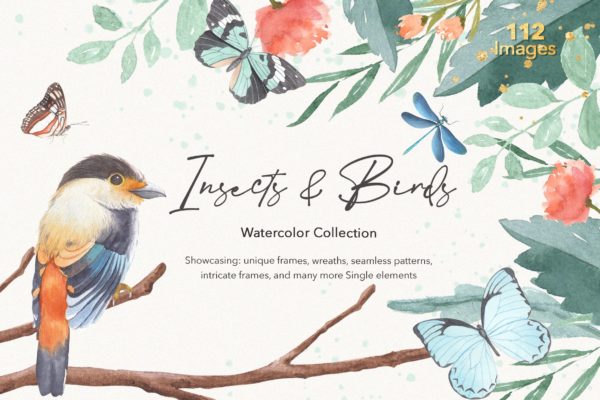 79个高清昆虫鸟类水彩画PNG免抠图片素材 Insects & Birds Watercolor Collections