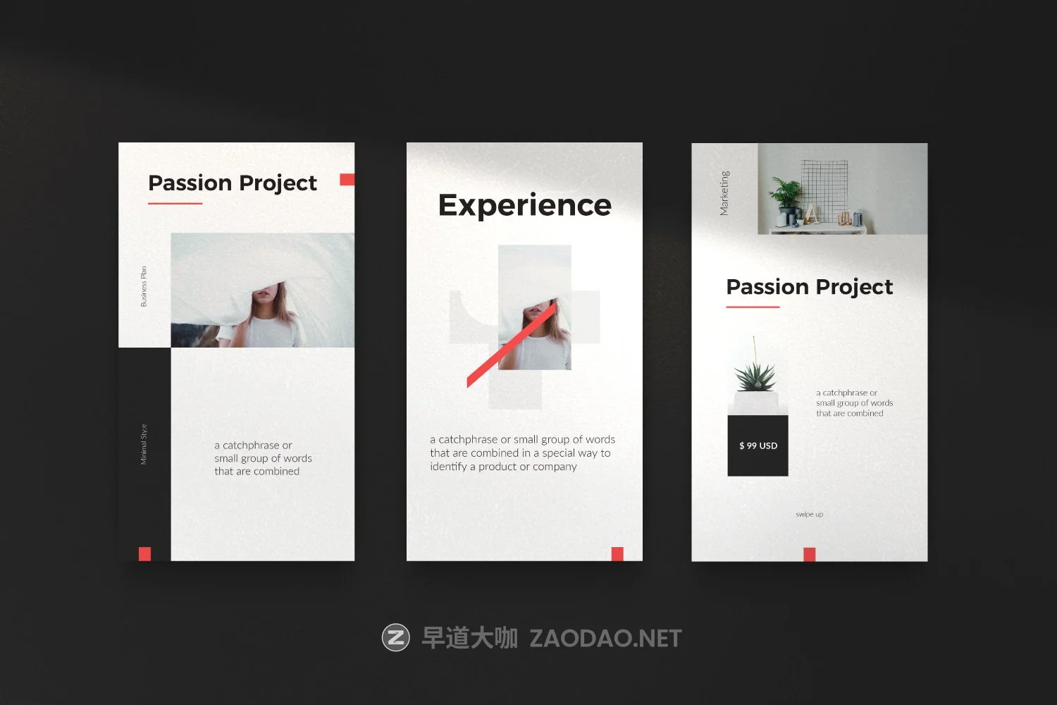 极简设计摄影作品集推广新媒体电商海报模板 PASSION – Modern Business Instagram插图10 极简设计摄影作品集推广新媒体电商海报模板 PASSION – Modern Business Instagram插图10