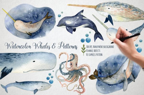 海洋动物植物水彩剪贴画插图图片素材 Watercolor Whales & Patterns