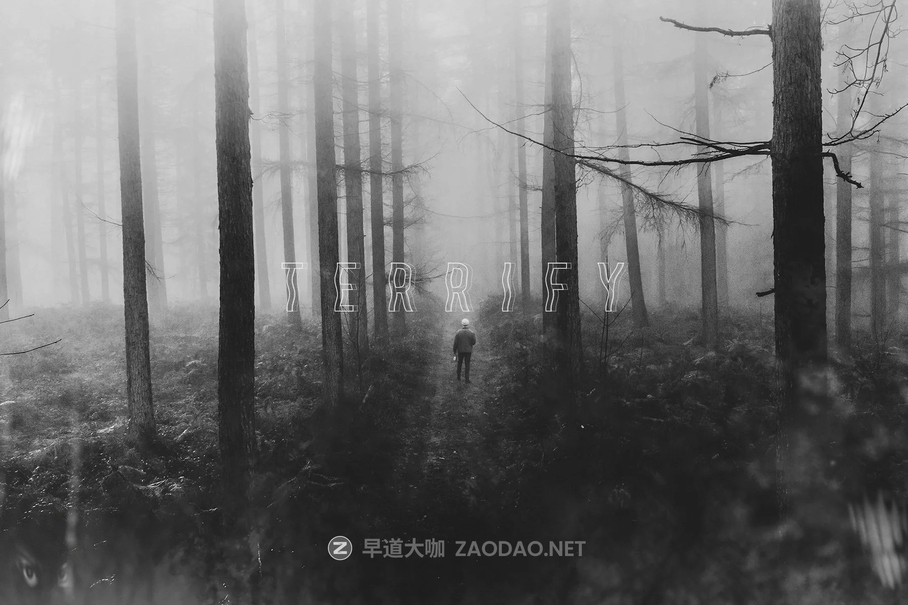 50款恐怖幽灵鬼影PS叠加层图片设计素材 Haunted Photo Overlays插图2 50款恐怖幽灵鬼影PS叠加层图片设计素材 Haunted Photo Overlays插图2