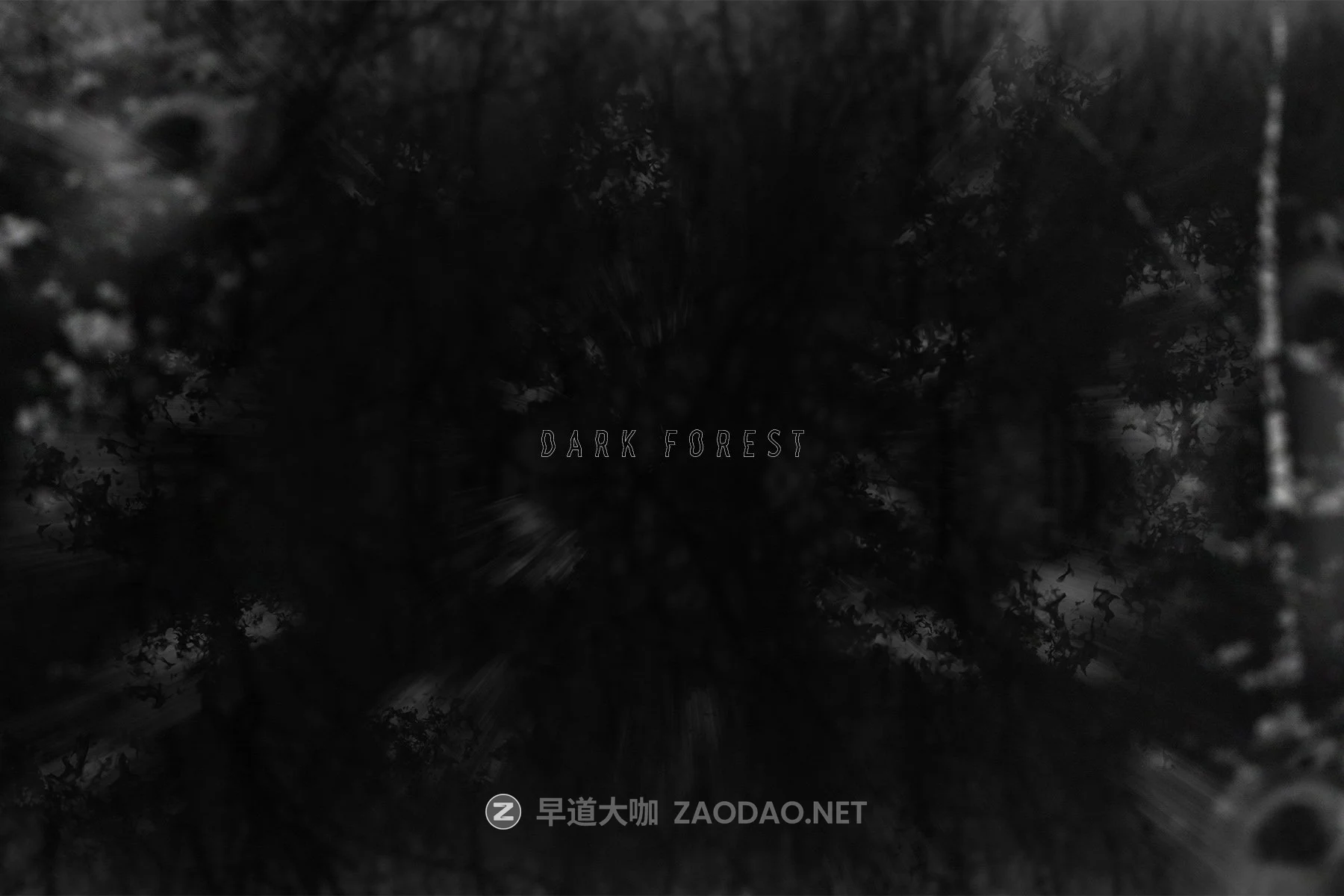 50款恐怖幽灵鬼影PS叠加层图片设计素材 Haunted Photo Overlays插图8 50款恐怖幽灵鬼影PS叠加层图片设计素材 Haunted Photo Overlays插图8