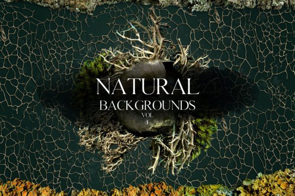 高清有机海绵纤维切片网格纹理背景底纹图片素材 Natural Backgrounds Vol.1